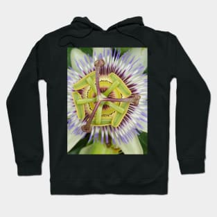 Passion Flower Hoodie